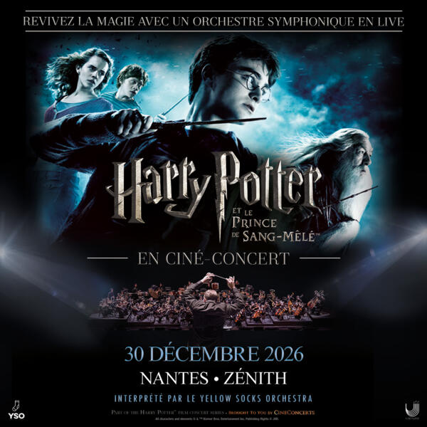 HARRY POTTER ET LE PRINCE DE SANG-MELE - J.K. ROWLING - Livres