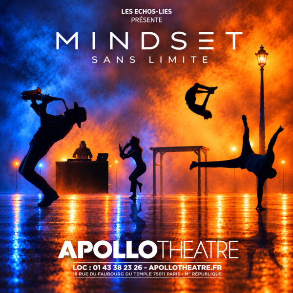 LES ECHOS-LIES - MINDSET SANS LIMITE