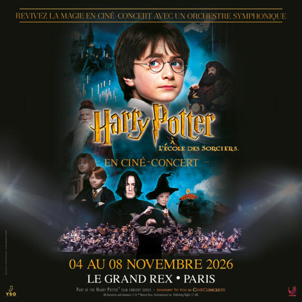 HARRY POTTER À L'ECOLE DES SORCIERS